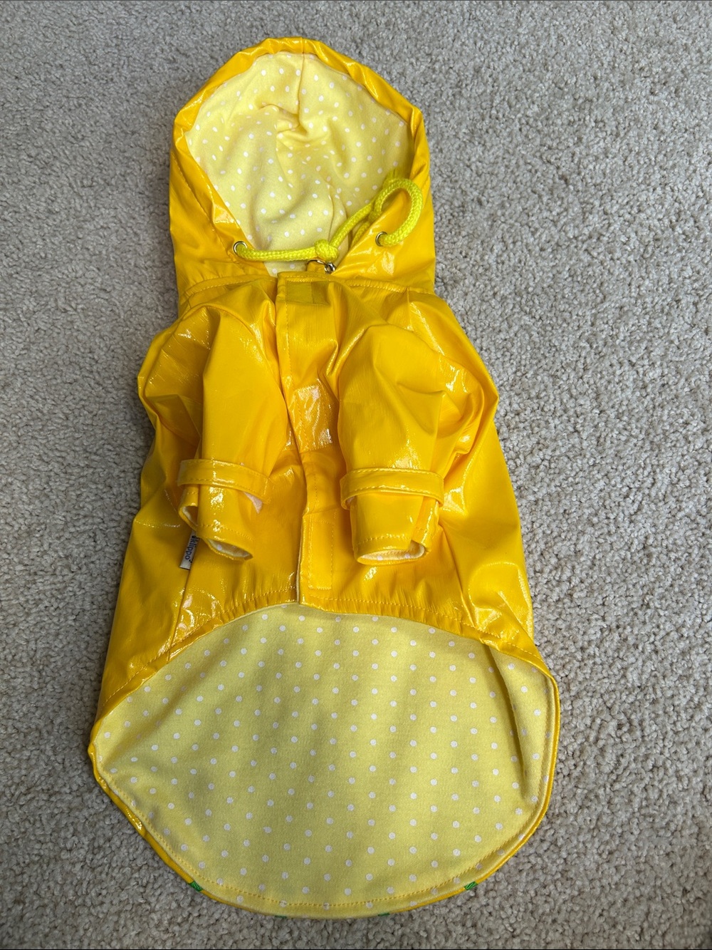 KLIPPO DOG RAIN JACKET - Picture 5 of 6